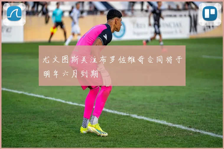 尤文图斯关注布罗佐维奇合同将于明年六月到期