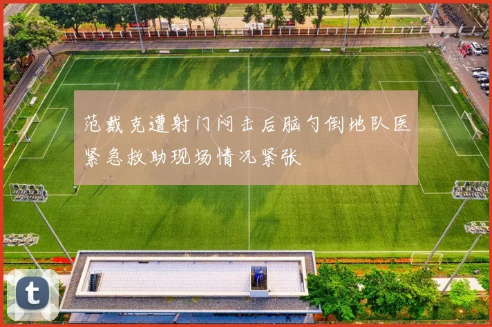 范戴克遭射门闷击后脑勺倒地队医紧急救助现场情况紧张