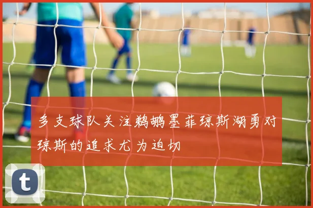 多支球队关注鹈鹕墨菲琼斯湖勇对琼斯的追求尤为迫切
