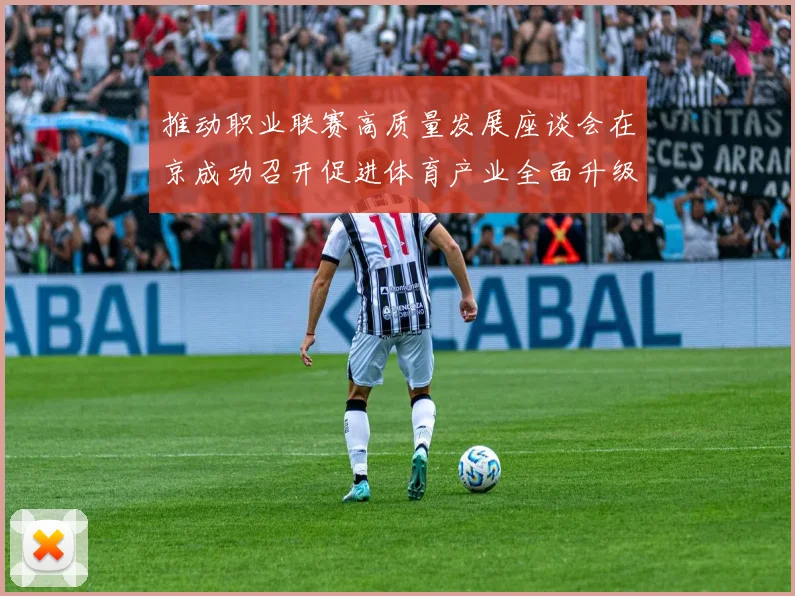 推动职业联赛高质量发展座谈会在京成功召开促进体育产业全面升级与创新发展