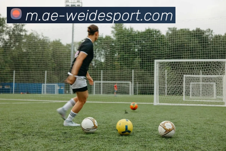 伟德体育品牌故事